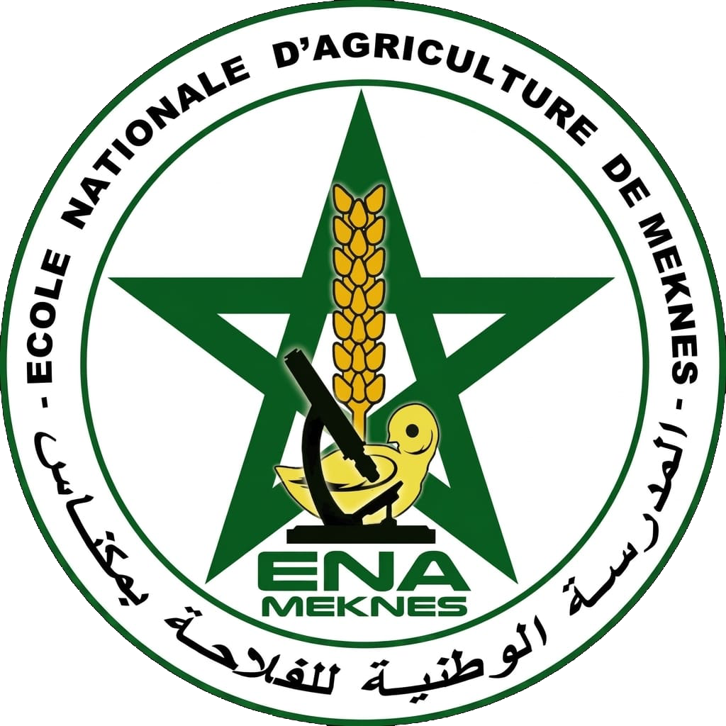 ENA Meknès Logo