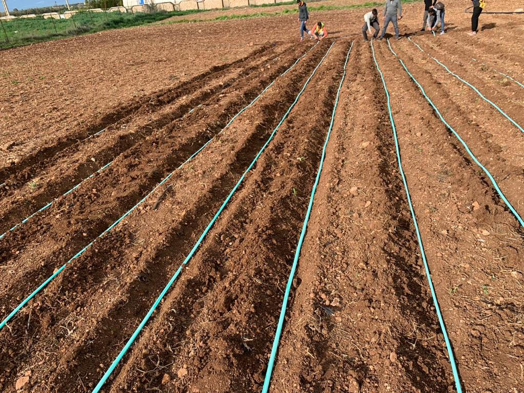 Système d'irrigation nano